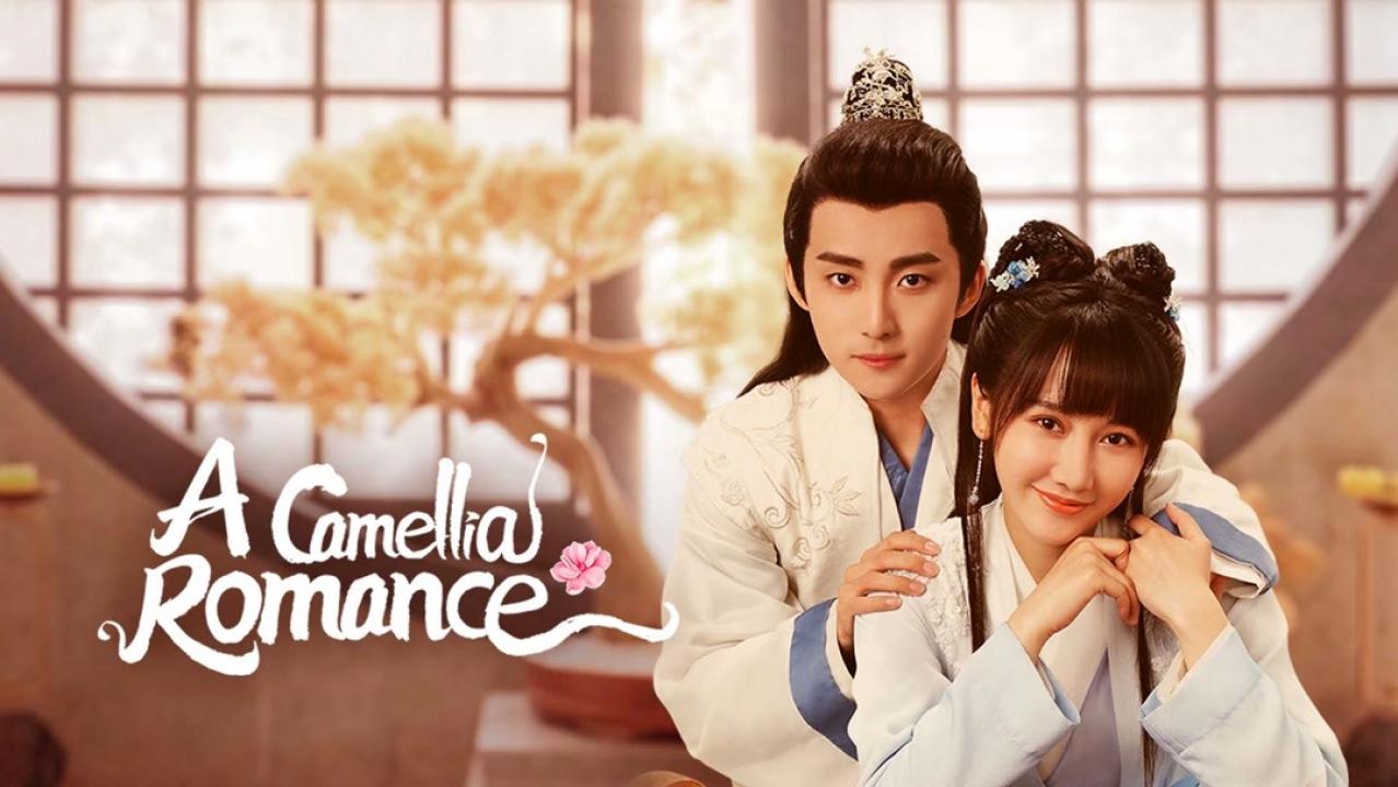 رومانسية كاميليا  - A Camellia Romance